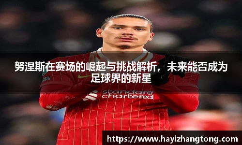 努涅斯在赛场的崛起与挑战解析，未来能否成为足球界的新星
